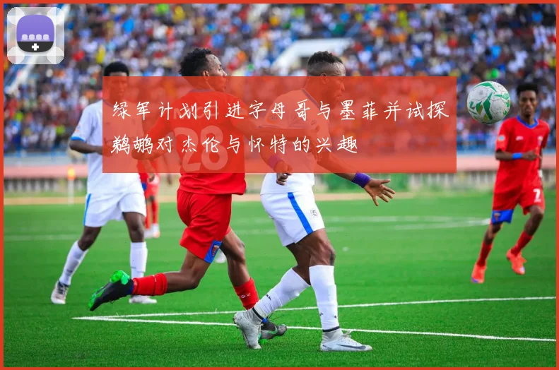 绿军计划引进字母哥与墨菲并试探鹈鹕对杰伦与怀特的兴趣